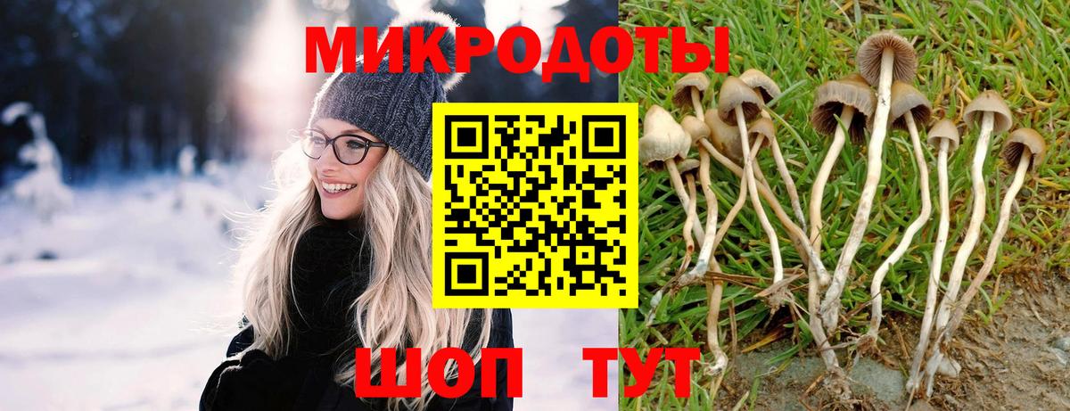 Меф Волжский