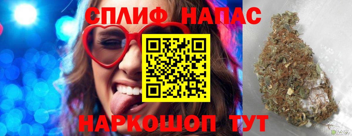 Каннабис план Волжский